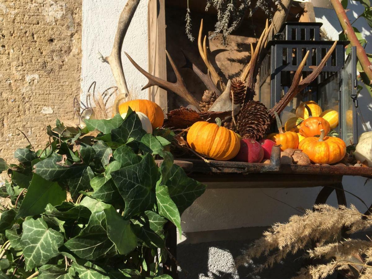Ferienwohnung „Am Gnaucks Hutberg“ Hohnstein Εξωτερικό φωτογραφία