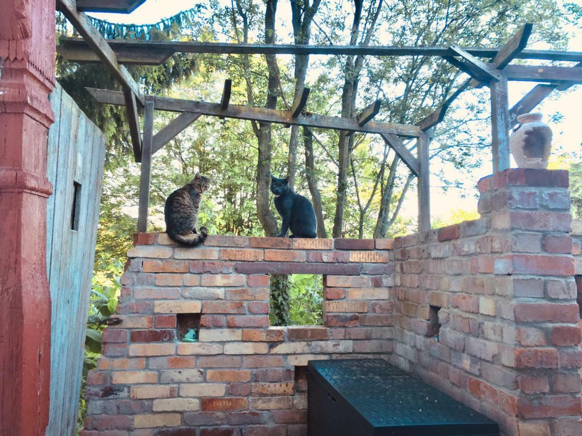 Ferienwohnung „Am Gnaucks Hutberg“ Hohnstein Εξωτερικό φωτογραφία